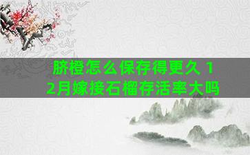 脐橙怎么保存得更久 12月嫁接石榴存活率大吗